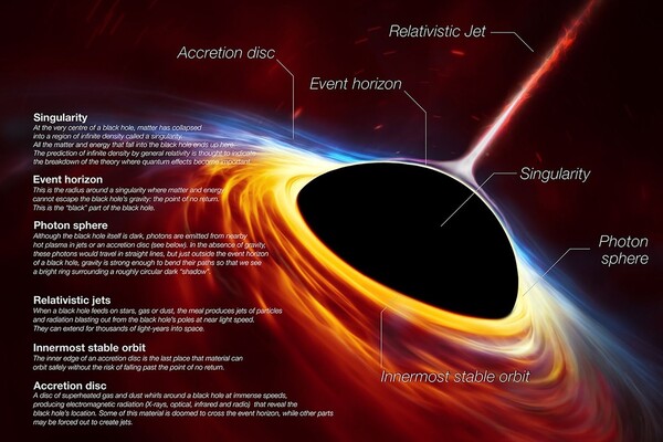 Black Holes